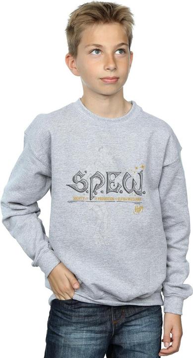 Produktbild Dobby Elfish Welfare Sweatshirt Jungen (140, 146)