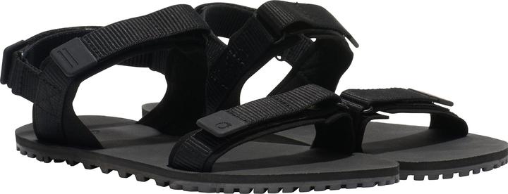 Actual product image Xero Shoes D-Trail (40.5)