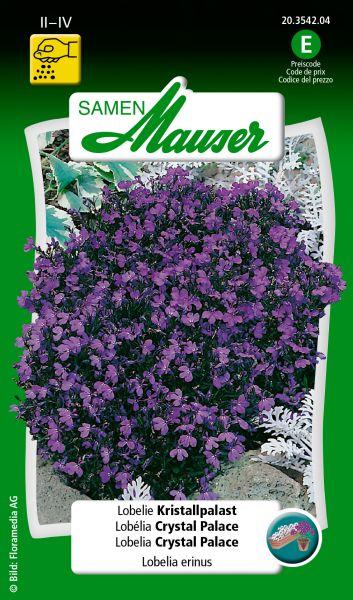 Immagine prodotto Samen Mauser Lobelia Crystal Palace, Maschio fedele (Semi di piante)