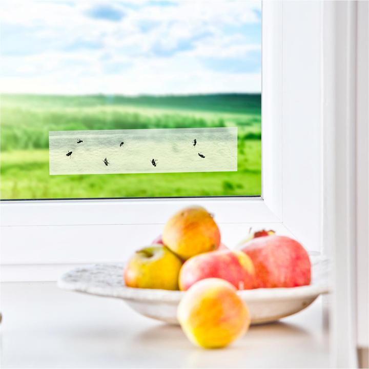 Produktbild Windhager Fenster-Fliegenfalle
