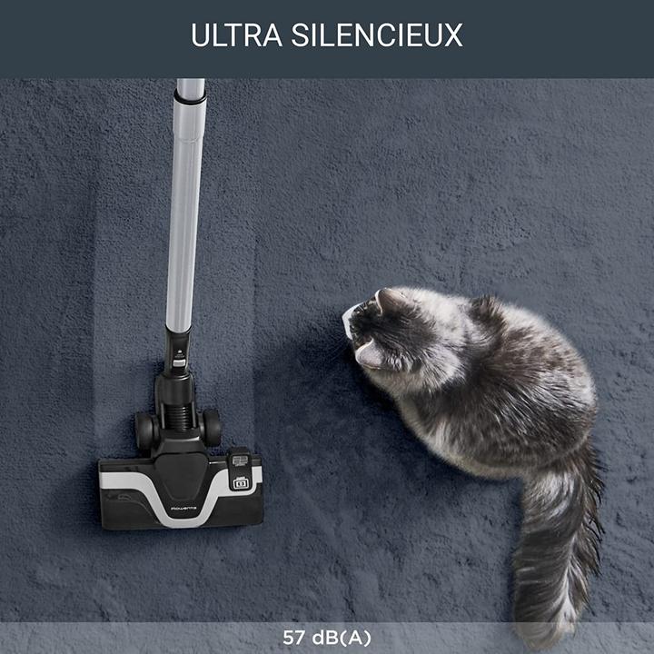 Image du produit Rowenta Silence Force Allergy+ RO7473