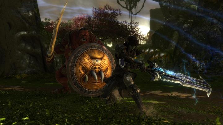Immagine prodotto THQ Kingdoms of Amalur Re-Reckoning (PS4, EN)