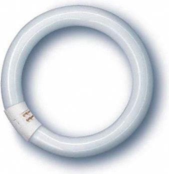 Produktbild Osram Lumilux T9 C (G10q, 22 W, 1350 lm, 1 x, G)