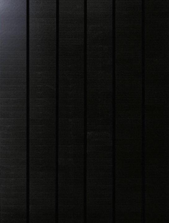 Phaesun Moduli solari incorniciati Sun Pearl (100 W, 9 kg)
