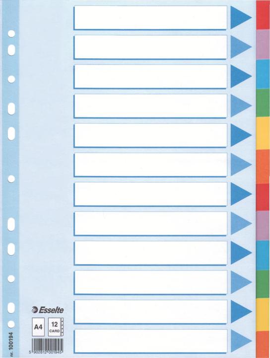 Esselte Register cardboard colored