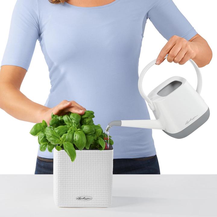 Image du produit Lechuza Green Wall Home Kit (15 cm)