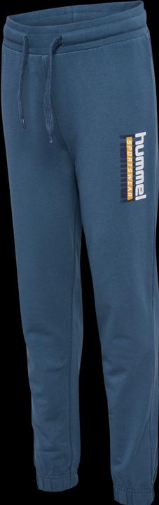Image du produit hummel hmlTUKAS PANTS (116)
