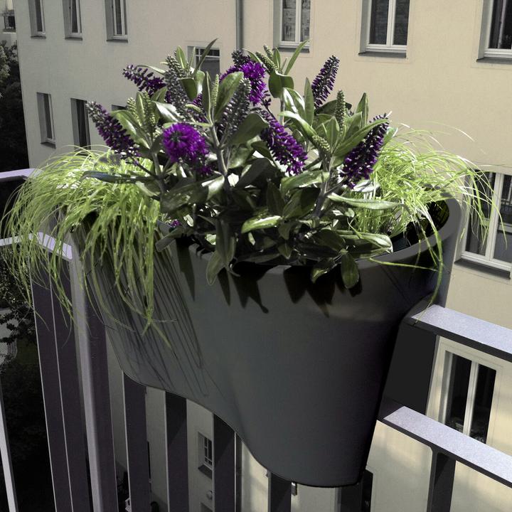 Actual product image Rephorm Balcony flower pot Cuttings Duo 60 cm - Graphite (30 cm)