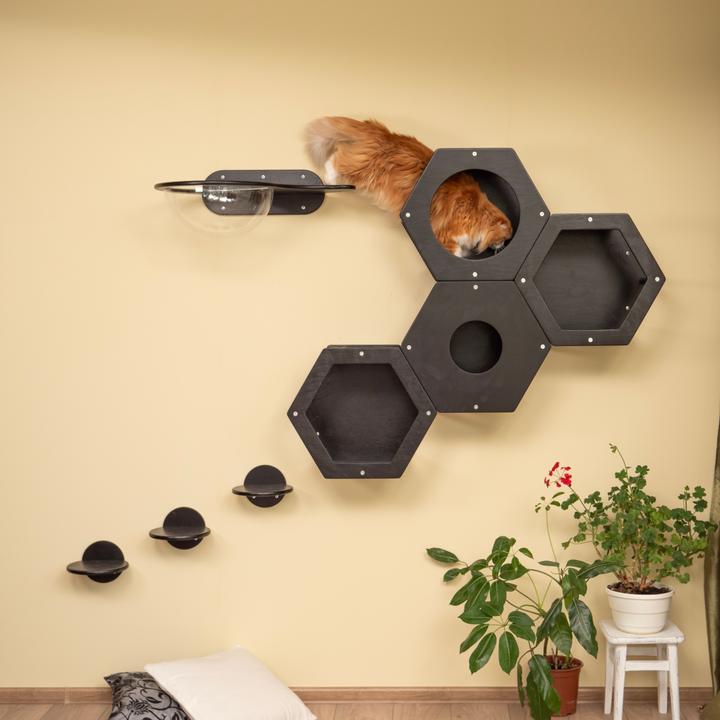 Image du produit Wowhelperco Aire de jeux murale pour chats 8 pièces (Noir)