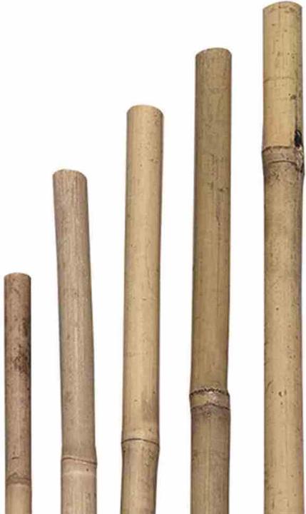 Immagine prodotto Siena Garden Bastone per piantare (120 cm, 1 cm)