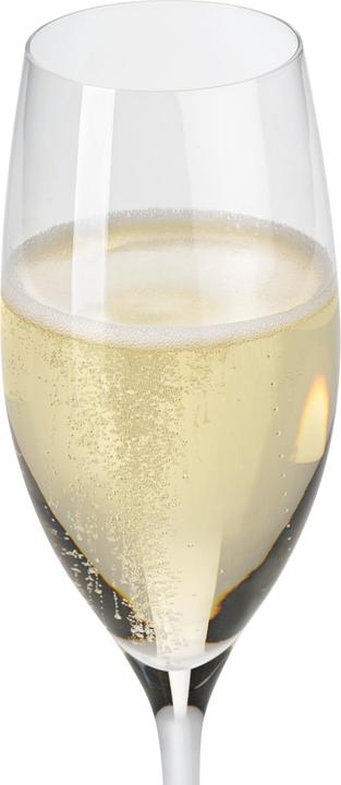 Actual product image WMF Easy Plus champagne glasses set of 6, 250ml, crystal glasses, dishwasher safe (25 cl, 6 Glasses, Champagne glasses)