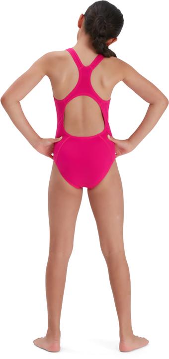 Actual product image Speedo ECO Endurance+ Medalist (13, 14)