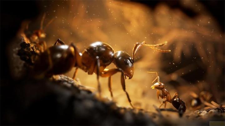 Image du produit astragon Empire of the Ants PS-5 L.E. (PS5)