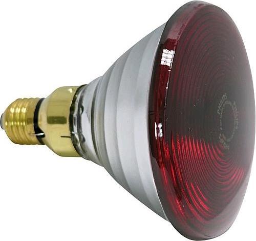 Actual product image Philips Infrared heater PAR38 IR 230V 150W E27 (871150012887415) (150 W)