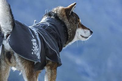 Produktbild Hurtta Monsoon Coat bilberry (65, Hundemantel)