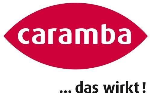 Actual product image Caramba 6290305 Windscreen cleaner 500 ml (500 ml)