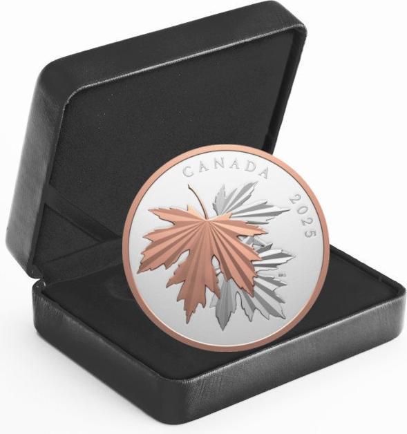 Actual product image The Royal Mint Silber Gleaming Maple Leaf 10 oz PP - 2025 (1.00, 2025)