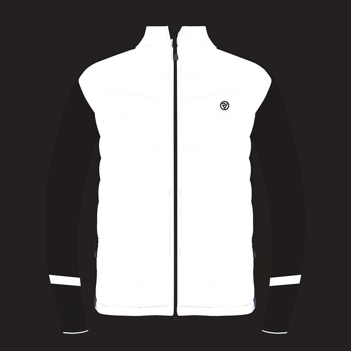 Image du produit Proviz Hommes Reflect360 Platinum Veste pour vélo électrique (L)