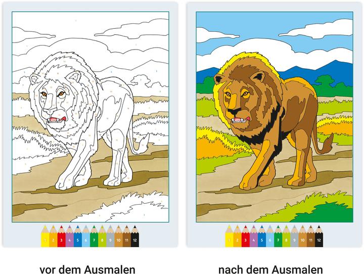 Actual product image Ravensburger Album de colouriage painting by numbers