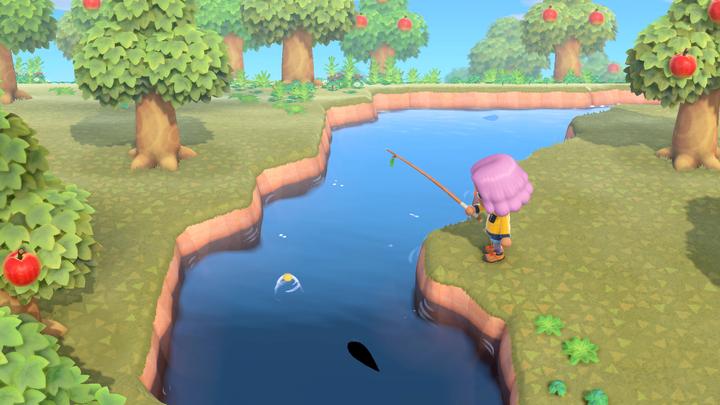 Image du produit Nintendo Animal Crossing: New Horizons (Switch, FR)