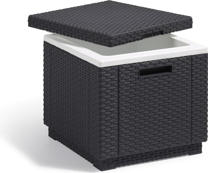 Immagine prodotto Allibert CUBO DI GHIACCIO O CUSCINO ART. 201309 - ANTRACITE (40 l)