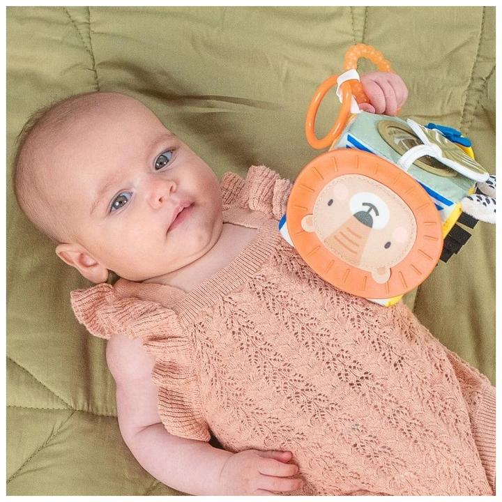 Actual product image Taf Toys Savannah discovery cube