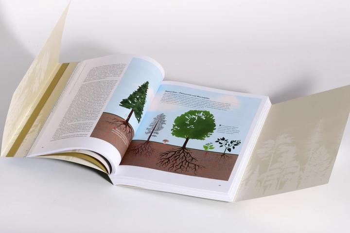 Actual product image Waldwissen (German, Peter Wohlleben, Pierre L. Ibisch, 2023)