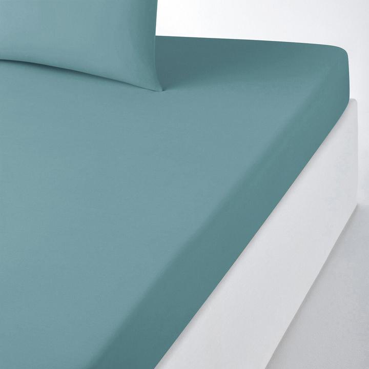 Actual product image La Redoute Interieurs Scenario Coton (120 x 190 cm)