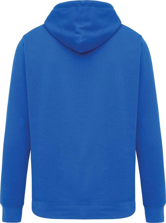 Actual product image Universal Textiles Unisex Adult Rila Recycled Cotton Lightweight Hoodie (L)