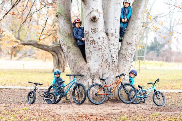 Image du produit Rascal Bikes Punk! - Framboise (14")
