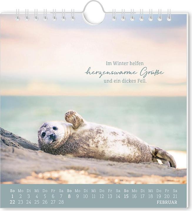 Produktbild Postkartenkalender 2026 Strandgut (16 x 17 cm, Deutsch)