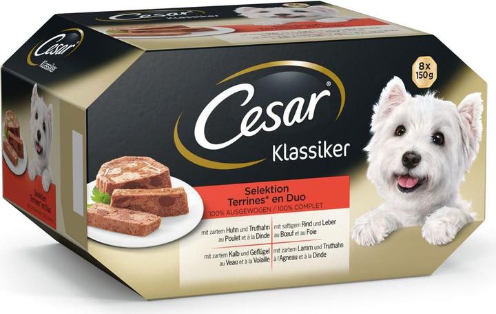 Actual product image Cesar Classic in tureen (Adult, 8 pcs., 150 g)