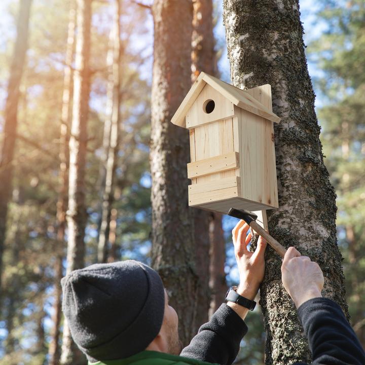 Actual product image Relaxdays Nesting Box, Hanging Birdhouse