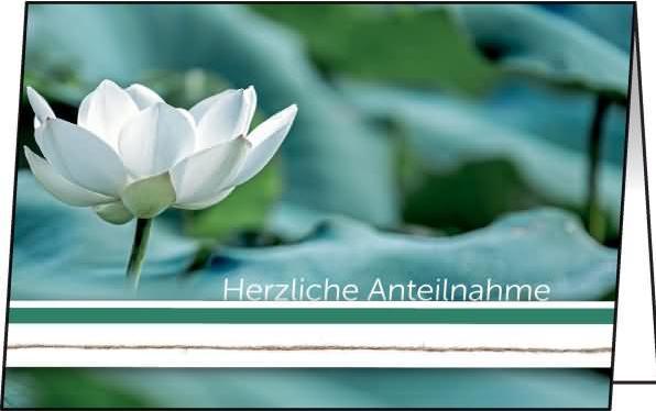 Productafbeelding Sigel 10 Rouwkaarten Waterlelie DIN A6 (220 g/m², 10 x)