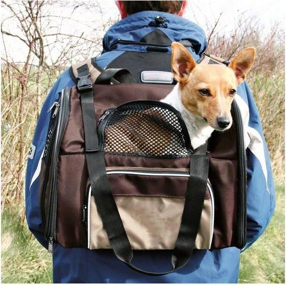 Image du produit Trixie Shiva (Chien, Chat, Fermeture de sécurité)