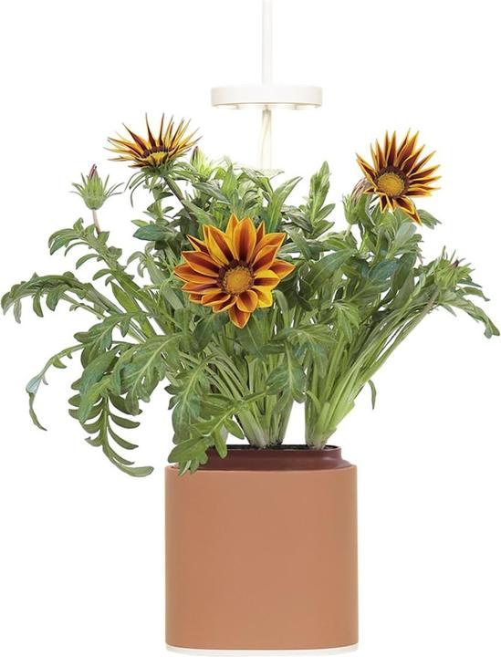 Produktbild Prêt à Pousser Kräutertopf Nano, Terracota (13.50 cm)