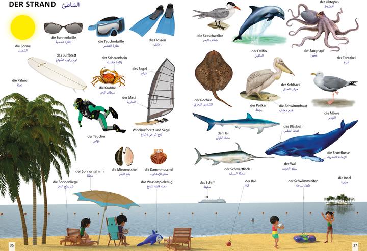 Actual product image Bildwörterbuch für Kinder und Eltern Ar (German, Arabic, Igor Jourist, 2024)
