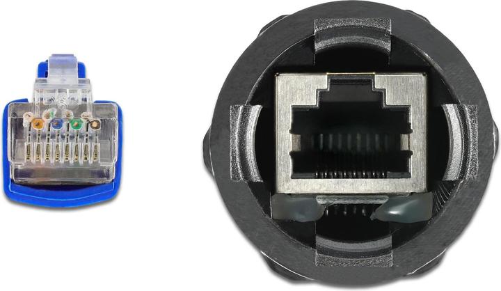 Produktbild Delock Kabel RJ45 Stecker zu RJ45 Buchse Cat.6 wasserdicht mit Kabelverschraubung und Knickschutztülle (S/FTP, CAT6, 0.25 m)