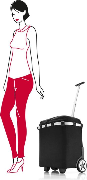 Immagine prodotto reisenthel Carrycruiser Iso (40 l)