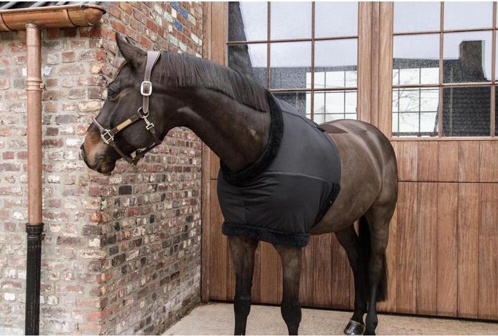 Immagine prodotto Kentucky Horsewear Protezione per il petto