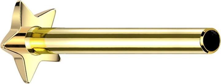 Image du produit Star Piercing Micro Threadless Tige de Labret Étoile dorée (Titane G23, sans laiton)
