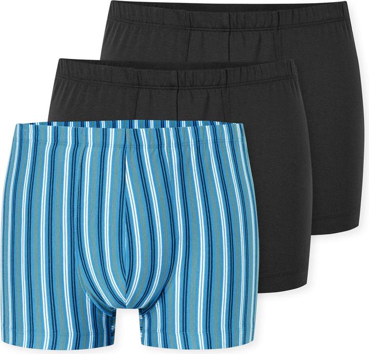 Schiesser Trunk 95/5