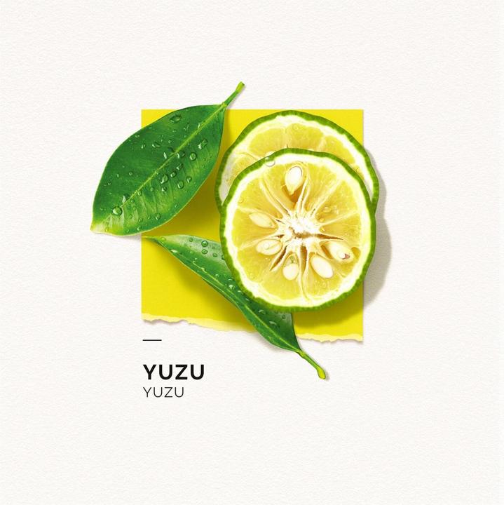 Immagine prodotto Solinotes Paris Solinotes - Yuzu Eau De Parfum (Eau de parfum, 50 ml)