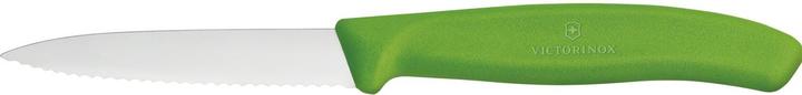 Actual product image Victorinox SwissClassic (8 cm)