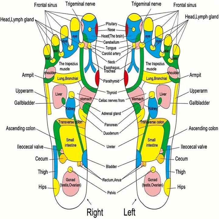 Valeurs nutritives et ingrédients PhoneLook Tapis d'acupression pour les pieds