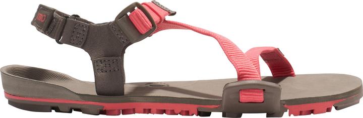 Produktbild Xero Shoes Z-Trail EV (37.5)