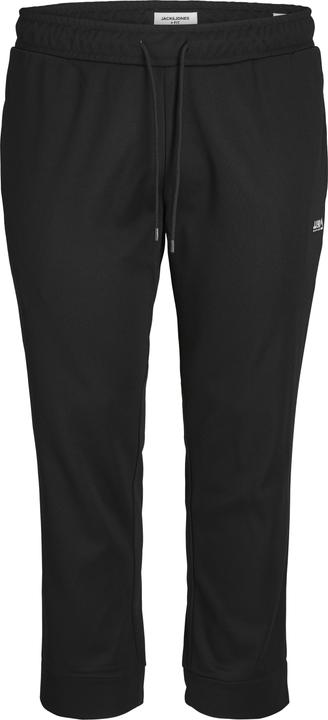 Produktbild Jack & Jones Plus Size Slim Fit Hose mit Slim Fit Hose mit Slim Fit (40)
