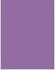 Immagine prodotto Rimmel London Kind & Free Clean Eye Definer (03 Uva)