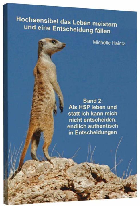 Image du produit Hochsensibel das Leben meistern und eine Entscheidung fällen (Allemand, Michelle Haintz, Dr. Michelle Haintz, 2017)