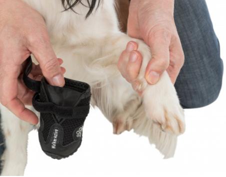 Produktbild Trixie Pfotenschutz Walker Active Gr.L (L, Hundeschuhe)